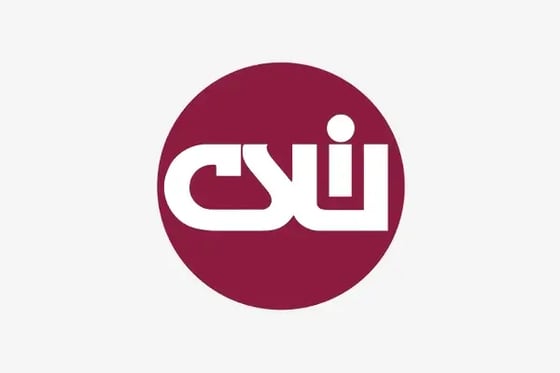 The Center for Schools and Communities (CSIU) logo