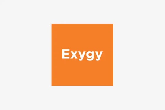 Exygy Logo